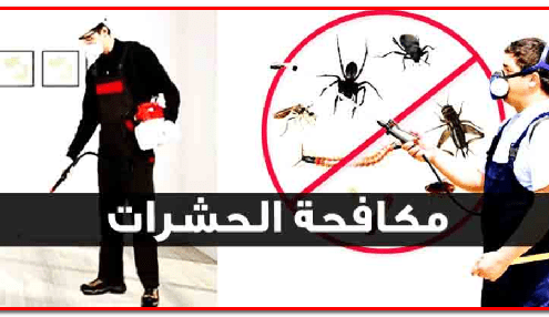 رش مبيدات حشرات شمال وشرق الرياض 